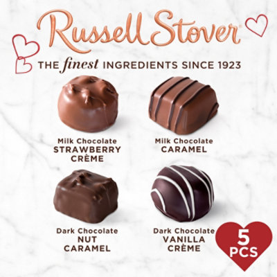 RUSSELL STOVER Valentine's Plush Bear with Red Heart Milk & Dark Chocolate Gift Box - 3.1 Oz - Image 2