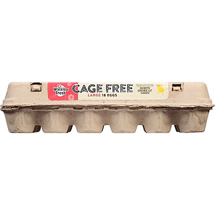 Waialua Fresh Cage Free Lg A Eggs - 1.5 CT - Image 2