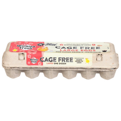 Waialua Fresh Cage Free Lg A 12 Ct Eggs - 1 CT