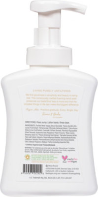 Raw Sugar Foam Hand Soap Rs-240 Coconut Verbena Lime - 12 OZ - Image 5