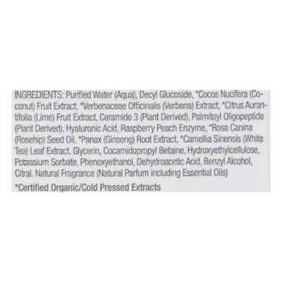 Raw Sugar Foam Hand Soap Rs-240 Coconut Verbena Lime - 12 OZ - Image 4