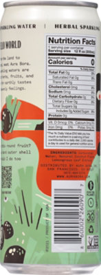 Aura Bora Water Sparkling Lemongrass Coconut - 12 FZ - Image 6