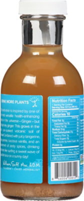 Goldthread Hawaiian Ginger Plant Based Tonics - 12 Fl. Oz. - Image 6