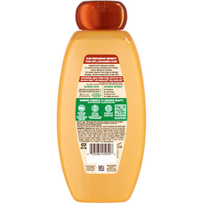Garnier Whole Blends Honey Treasures Repairing Shampoo Dry Damaged Hair - 22 Fl. Oz. - Image 3