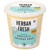 Herban Fresh Broccoli Cheddar Soup - 23.5 OZ - Image 3