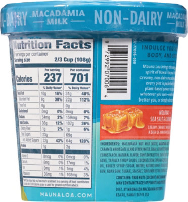 Mauna Loa Ice Cream Seasalt Macadamia Caramel - 16 OZ - Image 6