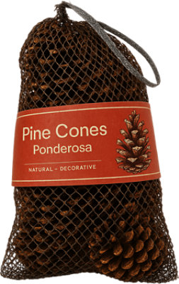 Overjoyed Boutique Cinnamon Scented Pinecones 9 Count - Each - Image 1