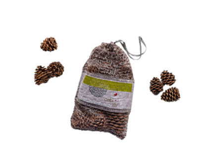 Debi Lilly Cinnamon Scented Pinecones 9 Count - Each