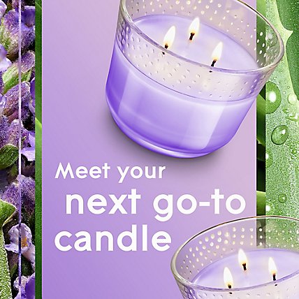 Glade Tranquil Lavender And Aloe Infused With Essential Oils 3 Wick Candle Freshener - 6.8 Oz - Image 4