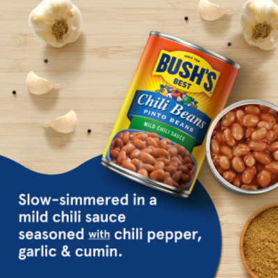 Bush's Pinto Beans in a Mild Chili Sauce - 16 Oz - Image 2