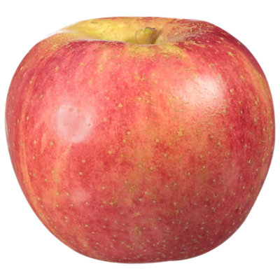 O Organics Organic Gala Apples Prepacked Bag - 2 Lb - Albertsons