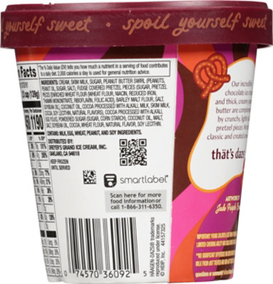 Haagen-Dazs City Sweets Chocolate Peanut Butter Pretzel Ice Cream - 14 Fl. Oz. - Image 7