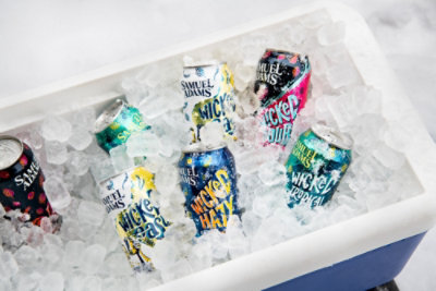 Sam Adams Wicked Vp In Cans - 12-12 FZ - Image 4