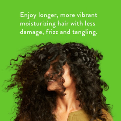 Cucumber & Mint Volumizing Shampoo - 16.5 OZ - Image 3