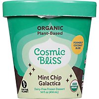 Cosmic Bliss Ice Cream Mint Chip - 1 PT - Image 2