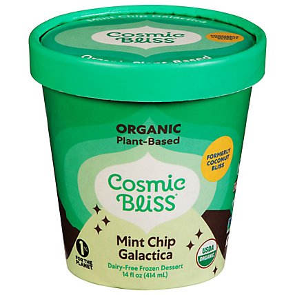Cosmic Bliss Ice Cream Mint Chip - 1 PT - Image 1