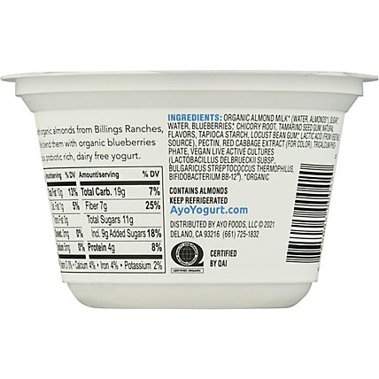Ayo Foods Llc Yogurt Almondmilk Blueberry - 5.3 OZ - Image 6