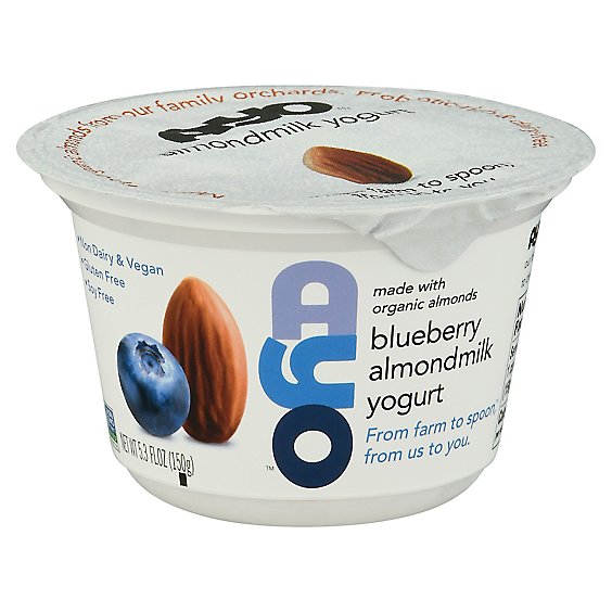 Ayo Foods Llc Yogurt Almondmilk Blueberry - 5.3 OZ
