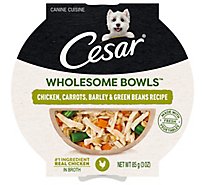Cesar Chicken Carrots Barley and Green Beans Wet Dog Food - 3 Oz