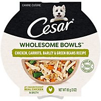 Cesar Wholesome Bowls Chicken Carrots Barley Adult Wet Dog Food - 3 Oz - Image 1