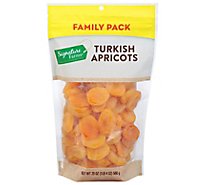 Turkish Apricots - 20 Oz