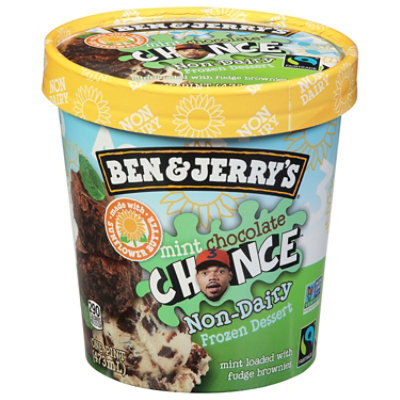 Ben & Jerry's Non Dairy Mint Chocolate Chance Ice Cream - Pint - Image 3