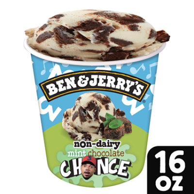 Ben & Jerry's Non Dairy Mint Chocolate Chance Ice Cream - PT