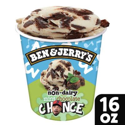 Ben & Jerry's Non Dairy Mint Chocolate Chance Ice Cream - Pint - Image 1