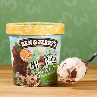 Ben & Jerry's Non Dairy Mint Chocolate Chance Ice Cream - Pint - Image 6