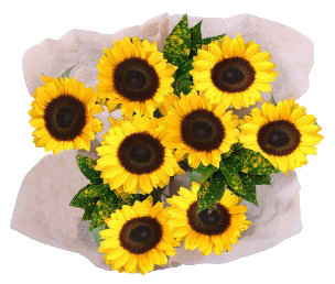 Sb Garden Natural Sunflower Bouquet EA Safeway