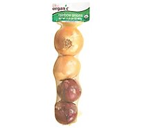 Onions Rainbow Organic - 2 LB