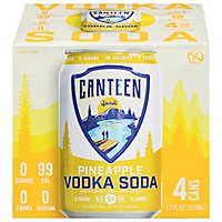Canteen Pineapple Vodka Soda - 4-12 FZ - Image 3