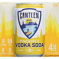 Canteen Pineapple Vodka Soda - 4-12 FZ - Image 5