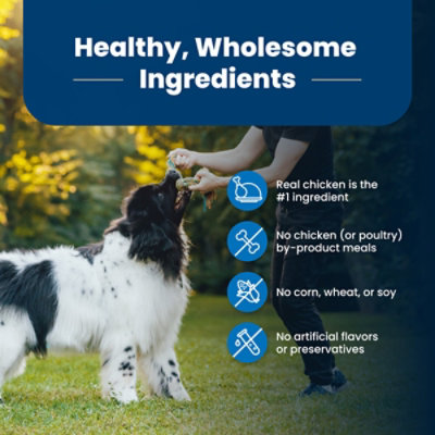 what ingredients are in blue dog food