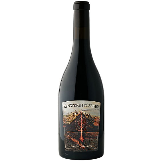Ken Wright P Noir E Amity Hills Wine - 750 ML