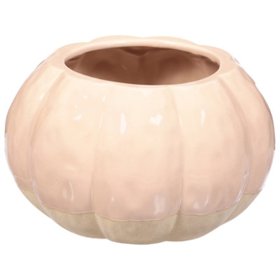 Debi Lilly Textured Pumpkin Planter - Each - Image 3