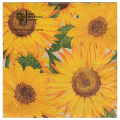 Caspari Lunch Npkn Sunflowers - 20 CT - Image 3