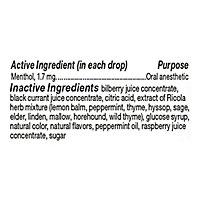 Ricola Berry Medley W/swiss Alpine Herbs - 19 CT - Image 3