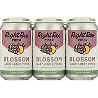 Right Bee Blossom Cider In Cans - 6-12 FZ - Image 2