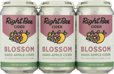 Right Bee Blossom Cider In Cans - 6-12 FZ - Image 2