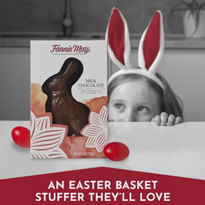 Fannie May Premium Milk Chocolate Solid Easter Bunny Easter Basket Stuffers - 6Oz - Image 4