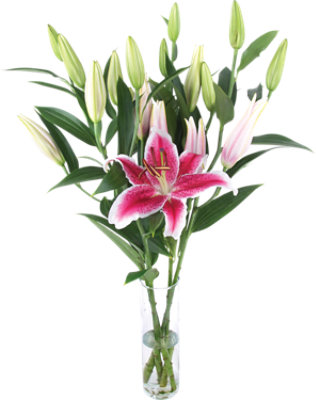 Oriental Lily - Each - Image 1