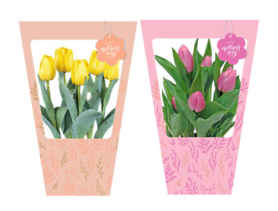 6 Inch Tulip Blooming Plant In Gift Bag - Each - Image 1