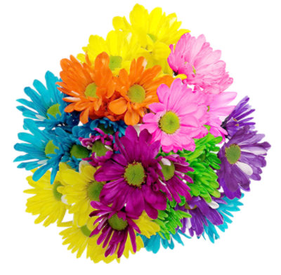 Tinted Color Enhanced Poms Assorted 6 Stems - .8 LB - Image 1