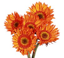 Sunflowers Novelty 5st - EA