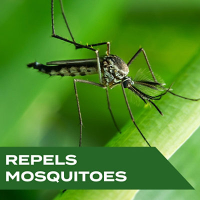 STEM Repels Mosquitoes Mosquito Repellent Spray With Botanical Extracts - 4 Fl. Oz. - Image 4