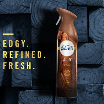 Fbrz Air Ember 1ct - 8.8 OZ - Image 2