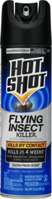 Hs Flying Insect Killer - 15 OZ - Image 2