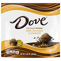 Dove Promises Milk Chocolate Caramel Stand Up Pouch - 14.2 OZ - Image 1