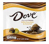Dove Promises Milk Chocolate Caramel Stand Up Pouch - 14.2 OZ
